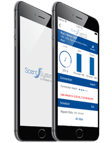 YCC-portfolio-toplevel-02